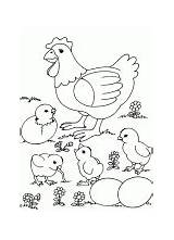 Coloring Hen Egg Chicks Eggs Chicken Previous sketch template