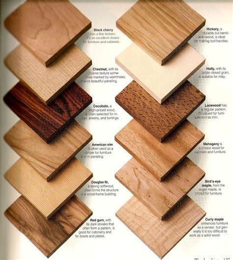 wood species images  pinterest wood types types  wood  wood
