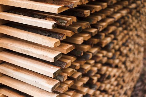 freshly cut wood stacked  lumber air drying  stock photo picjumbo