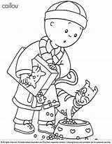 Coloring Caillou Pages Kids Print Children Color Library Coloringlibrary 1583 sketch template