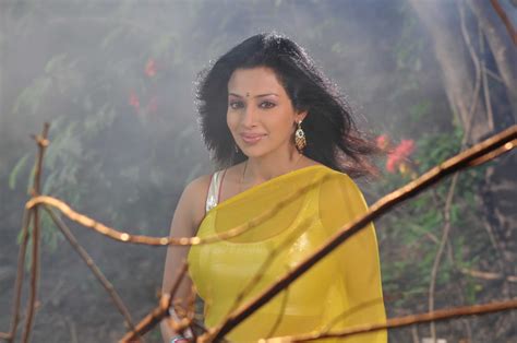 Asha Shaini Hot Saree Photos Actress Saree Photos Saree