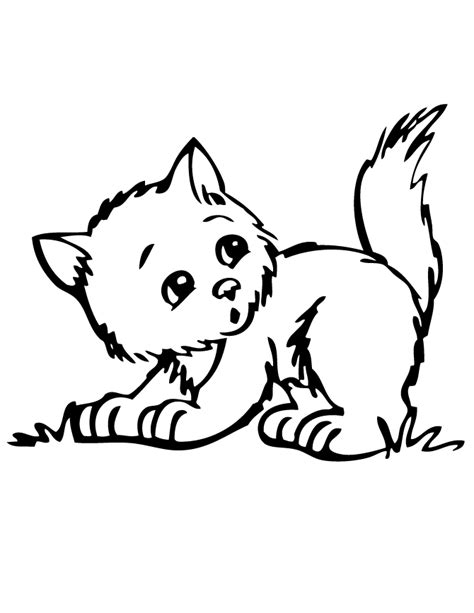 kitten coloring pages    print