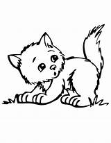 Kitten Pages Cute Coloring Kittens Colouring Printable Color Outline Kitty Kids Print Sheets Printables Clipart Puppies Popular Comment Coloringhome Library sketch template