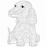Pages Coloring Bloodhound Getcolorings Gypsy sketch template