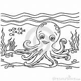 Coloring Octopus Printable Pages Print sketch template