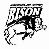 Bison Football Ndsu Logo Coloring Pages Wentz Carson sketch template