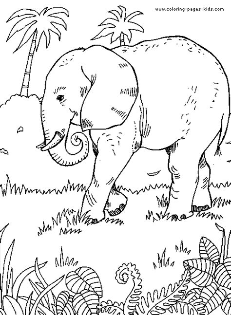 elephant   jungle color page  printable coloring sheets  kids