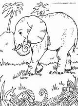 Coloring Pages Elephant Color Animal Jungle Elephants Printable Kids Sheets Print Animals Embroidery Found sketch template