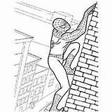 Spiderman Coloring Pages Colouring Sheets Printable Climbing Wall Toddler Wonderful Will Color Kids School Kid Momjunction Catching Robbers Bank Choose sketch template