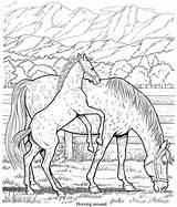 Coloring Horse Pages Friesian Book Printable Color Horses Dover Publications Doverpublications Meadow Colouring Drawings Welcome Adults Getcolorings Wonderful Books Adult sketch template