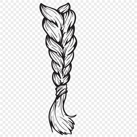 Braid Vector Graphics Of Sketching Hair Png Image Picture Free Download