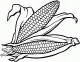 Corn Coloring Clipart Indian Kids Library sketch template