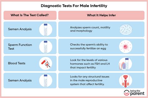 diagnostic tests  male infertility    tips  list