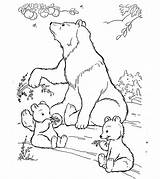 Coloring Pages Bear Polar Animals Wild Animal Sketch Wildlife Printable Kids Cute Momjunction Jungle Color Ones Life Print Little Getcolorings sketch template
