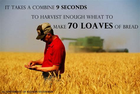 wheat is grown on more land area worldwide than any other crop and is a close third to rice and