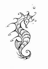 Zeepaardjes Seahorse Kleurplaten sketch template