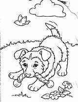 Coloring Puppy Pages Print Popular sketch template