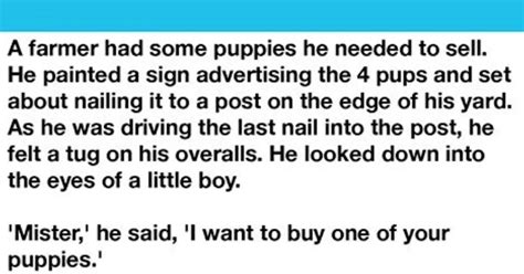 boy picks  crippled pup   farmers litter  buy  love  dog