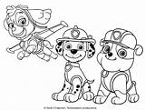 Patrol Paw Coloring Marshall Pages Skye Print Drawing Halloween Characters Bubble Ready Action Sheets Color Printable Getcolorings Thanksgiving Pack Pages2color sketch template