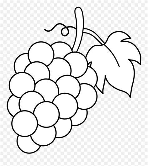 images  clker grapes coloring page clipart
