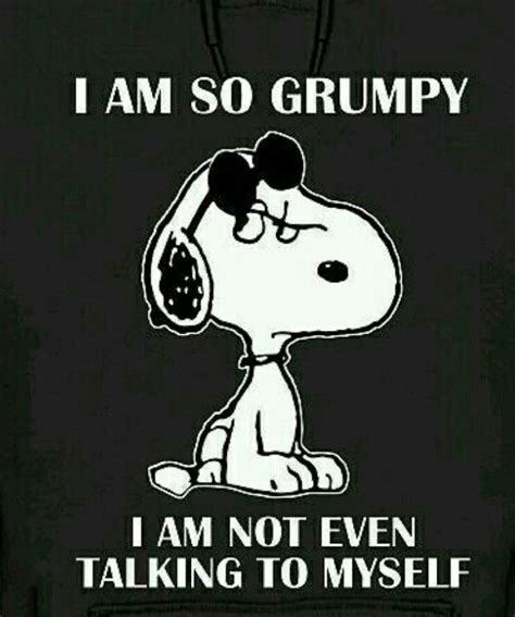 pin  sharyl knece  snoopy snoopy quotes snoopy funny funny quotes