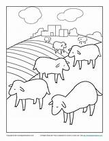 Coloring Sheep Pages Bible Lost Kids Sunday School Children Activities Luke Great Parable Sheets God Color Flock Shepherd Library Clipart sketch template
