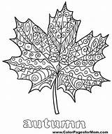 Coloring Fall Leaves Pages Thanksgiving Drawing Tree Palm Leaf Printable Jungle Kids Color Clip Adult Sheets Mandala Adults Halloween Coloriage sketch template