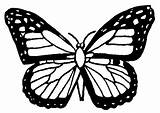 Papillon Coloriage Coloring Butterflys sketch template