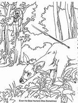 Hunting Bow Drawings Deer Drawing Hunter Arrow Getdrawings Paintingvalley Minnesota Thoughts Drawing2 Way sketch template