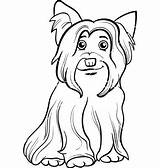 Coloring Pages Terrier Yorkie Dog Westie Yorkshire Highland West Cairn Vector Getcolorings Color Getdrawings Dachshund Cartoon Long Drawing Colorings Printable sketch template