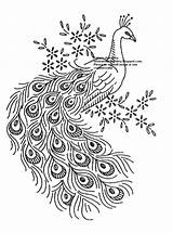 Peacock Pattern Embroidery Outline Drawing Patterns Vintage Hand Designs Template Sketch Peacocks Broderie Printable Crewel Spice Everything Nice Drawings Machine sketch template