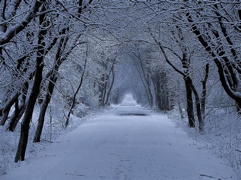belles scenes hivers page