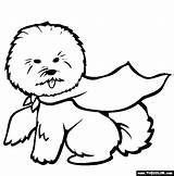 Bichon Coloring Frise Online Pages Dogs Drawing Getdrawings sketch template