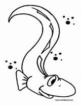 Eel Coloring Pages Eels sketch template