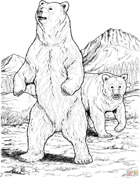 black bears coloring page  printable coloring pages