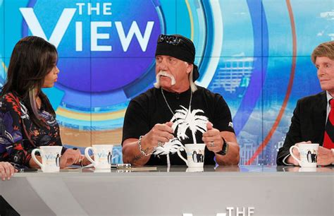 hulk hogan is suing more people over his sex tape complex