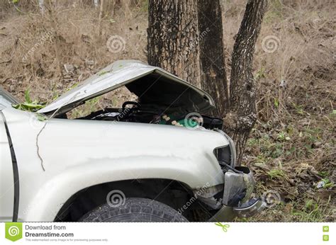 car crash tree stock image image  accident automobile