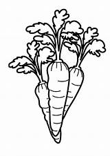 Carrot Coloring Pages Drawing Color Line Garden Healthy Food Getdrawings Place Eyes Good sketch template