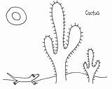 Cactus Lizard Desert Coloring Pages sketch template