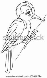 Woodpecker Vector Coloring Clip Book Stock sketch template