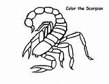 Scorpion Coloring Pages Color Animals Print Scorpio Drawing Lovely Getdrawings Kombat Mortal Animal Getcolorings Printable Sheets Easy sketch template