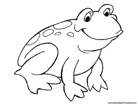easy frog coloring pages  preschoolers ps