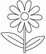 Flower Daisy Flowers Simple Coloring sketch template