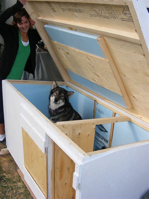 sale dog house diy insulated dog house dog house plans