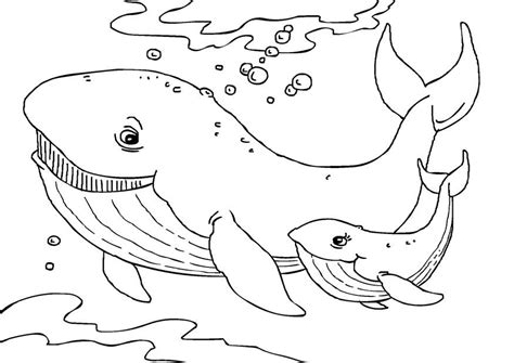 printable whale coloring pages  kids