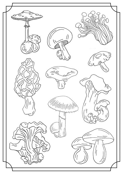printable mushroom coloring pages printable word searches