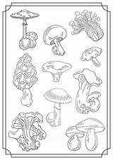 Mushrooms Champignons Coloriages Enfants sketch template