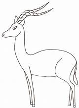 Impala Coloring Pages Animal Drawing Animals Antelope Color Printable Colouring Drawings Print Simple Animaux Getdrawings Sauvages Sheet Designlooter African Badge sketch template