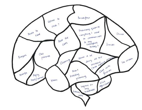 brain diagram blank clipart