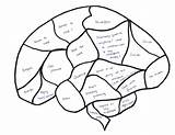 Brain Blank Diagram Unlabeled Printable Clipart Map Cliparts Diagrams Library sketch template